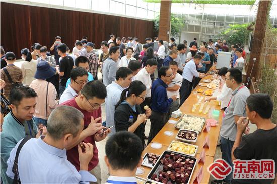 代表們紛紛品鑒特色農(nóng)產(chǎn)品 劉惠萍 攝.jpg