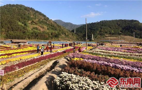 花海全景圖 劉惠萍 攝.jpg