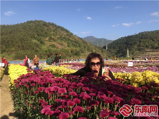 游客在花海中駐足 劉惠萍 攝.jpg