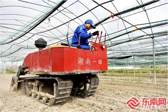 尤溪縣三葉花卉專業合作社工作人員忙旋耕整地。嚴士冬攝.jpg