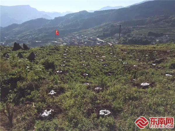 貴州盤縣石漠化治理工程現場.jpg