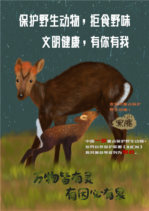 優秀獎：保護野生動物，拒食野味；永安市安砂中心小學，郭立佳.jpg
