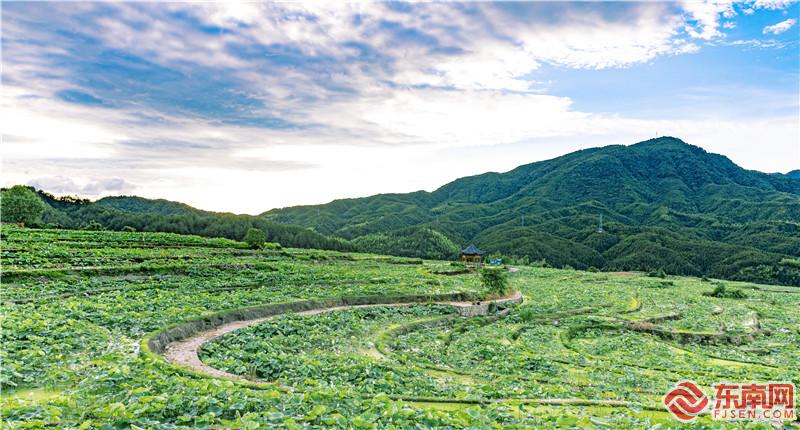 肖開涯 攝 (3).jpg