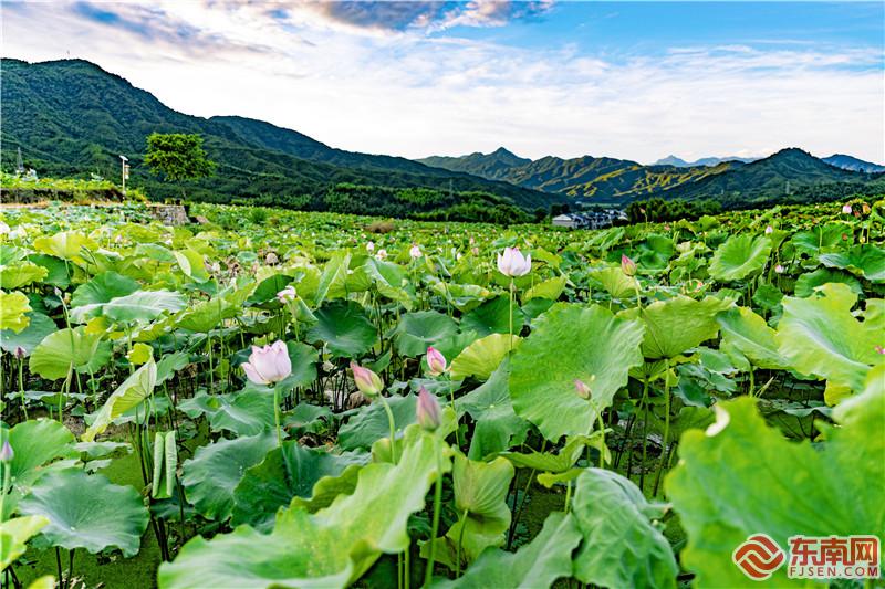 肖開涯 攝 (5).jpg