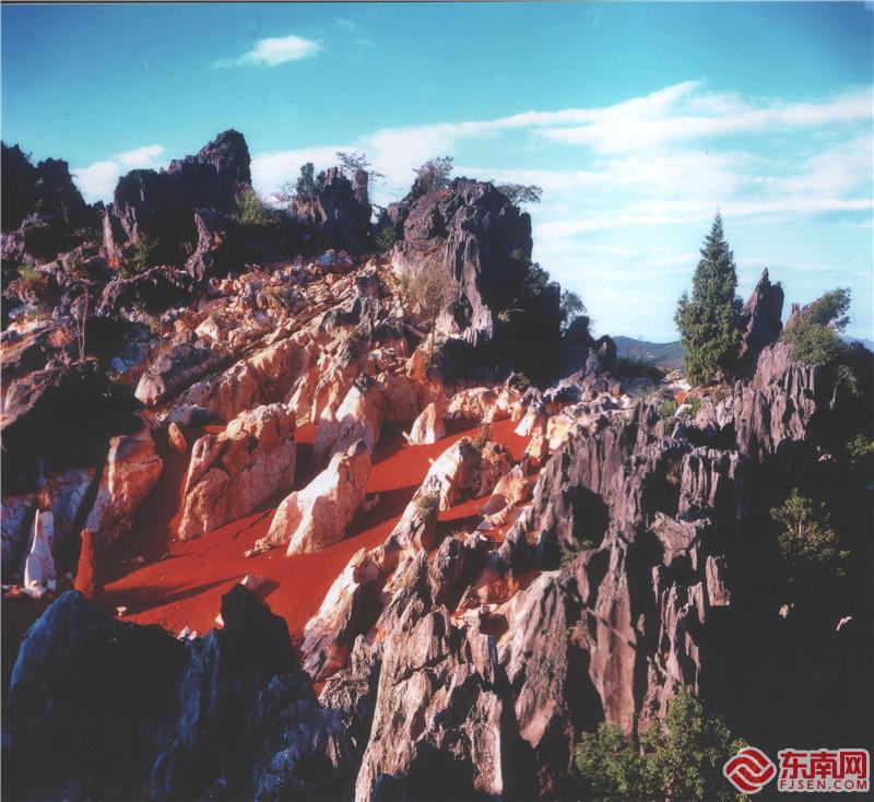 鱗隱石林 (4).jpg