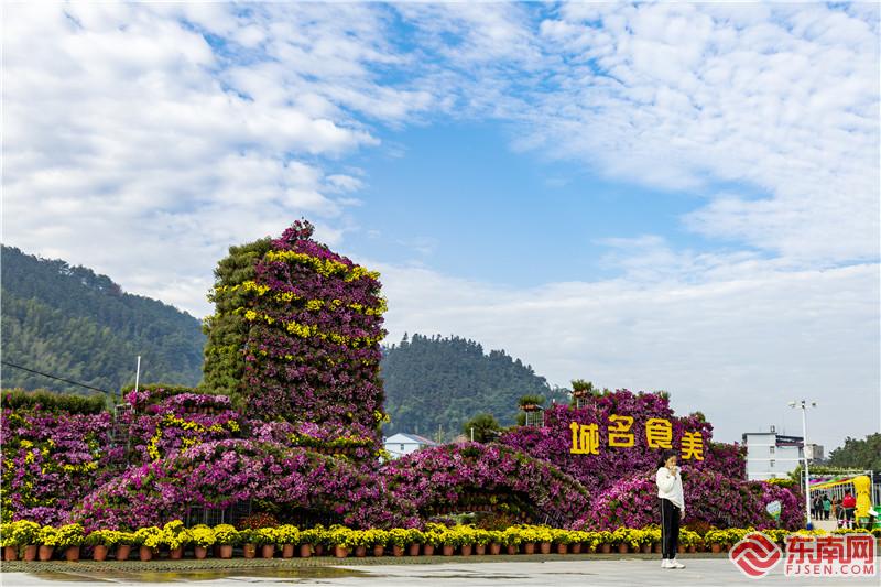 菊花組成的景觀造型頗為壯觀.jpg