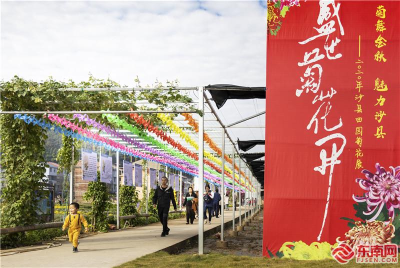 菊文化長廊吸引眾多游客.jpg