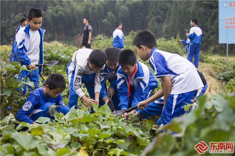 學生在實踐基地收獲勞動成果。董觀生攝.jpg