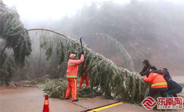 12月15日，在建寧縣G528線高海拔巖上路段，縣公路分局工作人員正在清理沿途被冰凌壓彎的斷竹。（王毅 攝） (1).png