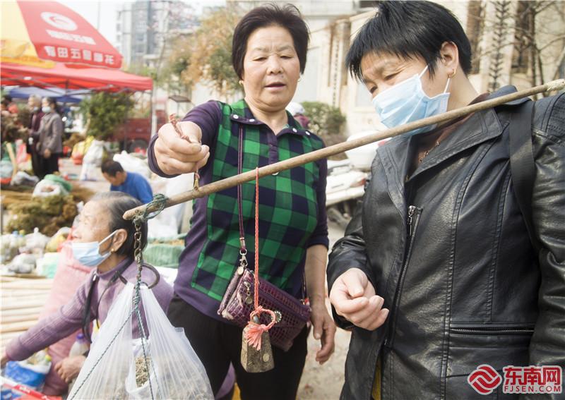 2月23日，將樂備耕圩上中草藥攤點上的公平買賣。董觀生攝.jpg