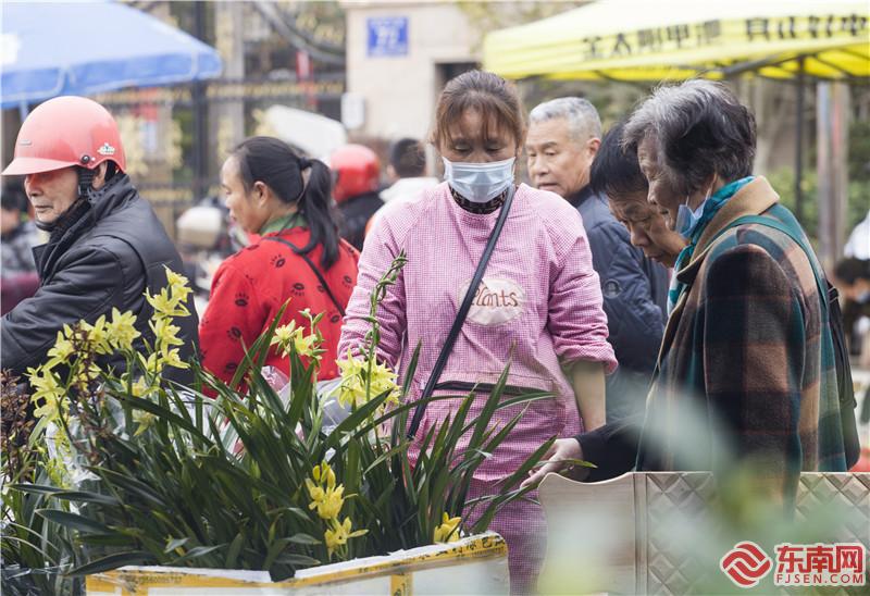 2月22日，在將樂備耕圩上顧客在選購蘭花。董觀生攝.jpg