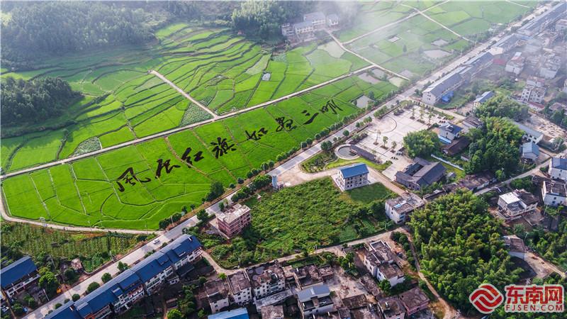 八個字“鑲嵌”在稻田之中，展現出一幅“紅色”文化與“綠色”水稻結合的稻田美景。.jpg