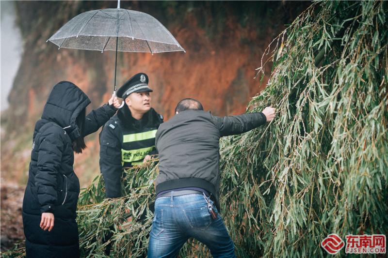 圖為民警與群眾一起清理被冰雪壓垮橫在路中的竹子.jpg