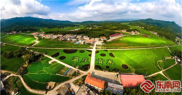 “溫莊貢米”種植基地。（明溪縣攝影家協(xié)會   供圖）.jpg
