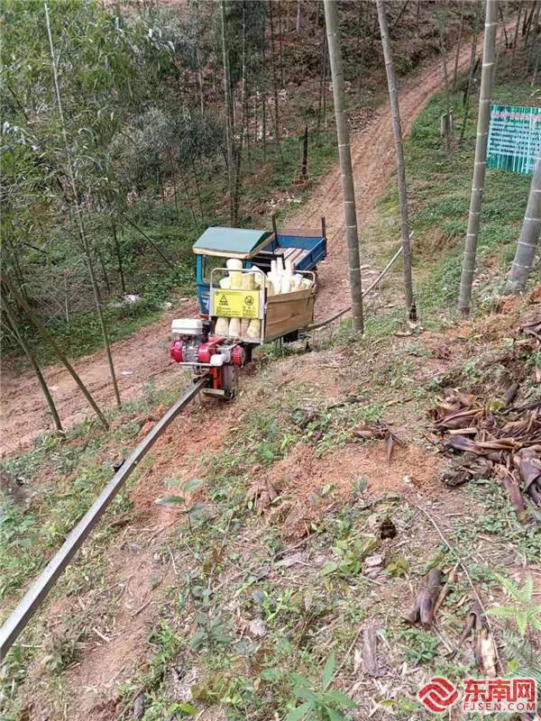 竹山“小火車”運筍.jpg
