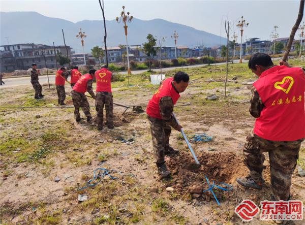 義務(wù)植樹，清流縣退役軍人局供圖.png