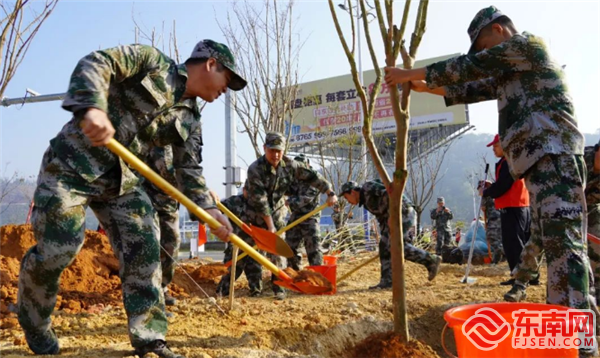義務(wù)植樹，尤溪縣退役軍人局供圖.png