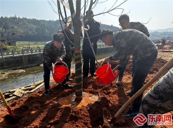 義務(wù)植樹，泰寧縣退役軍人局供圖.png