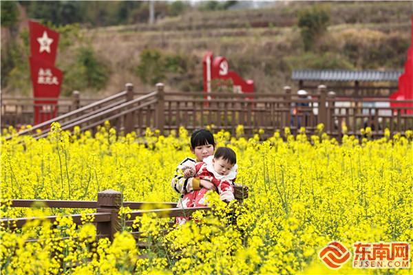 兒童置身美麗花海中，黃尉峰攝.jpg