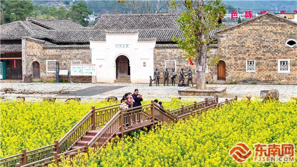 寧化縣石壁鎮(zhèn)陳塘紅軍第四醫(yī)院舊址前，油菜花開，吸引游客前來。黃尉峰攝.jpg